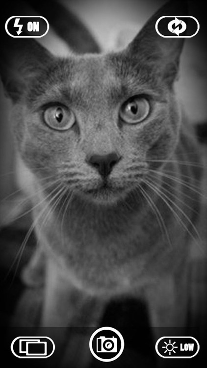 Black & White Dramatic Camera For Your Photos