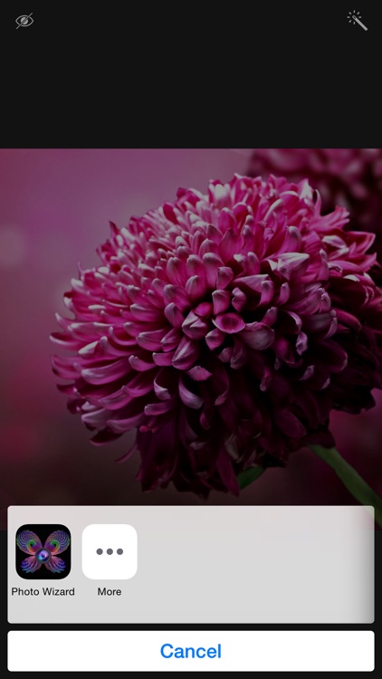 Photo Wizard Pro