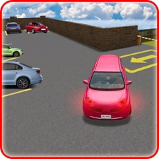 Activities of Multi Track Car Parking Simulator