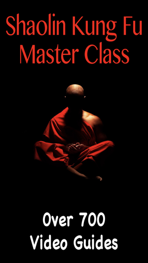 Shaolin Kung Fu Master Class(圖1)-速報App