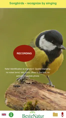 Game screenshot Songbirds - recognize by singing mod apk