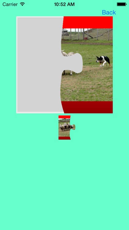 Dog Jigsaw Puzzle screenshot-3