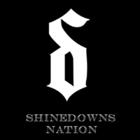 Shinedowns Nation PC 용