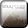 SoulPoles