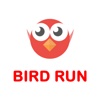 Bird Run Game