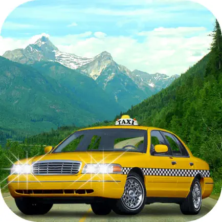 Driver Taxi Service Hill 2017 Cheats