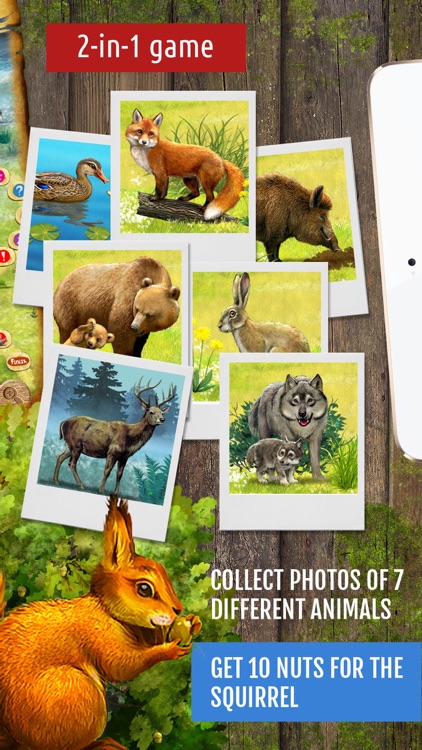 Forest Quest: board game for kids, family, school