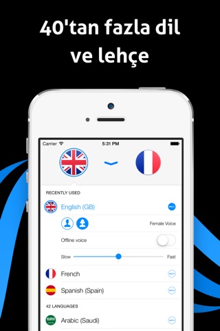 iTranslate Voice Lite screenshot 3