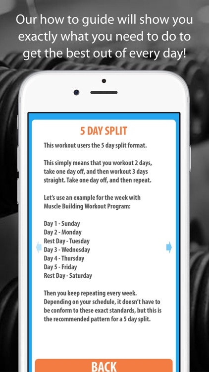 Muscle Building Workout Program - 5 Day Split screenshot-4
