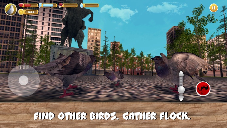 City Birds Simulator Full