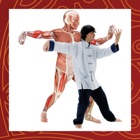 Top 38 Book Apps Like ANATOMY & TAI CHI AR - Best Alternatives