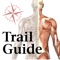The acclaimed Trail Guide to the Body musculoskeletal anatomy resource is now available in an interactive app