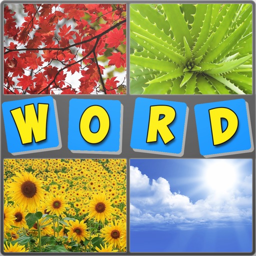 4 pics 1 word quiz: Guess photo puzzles iOS App