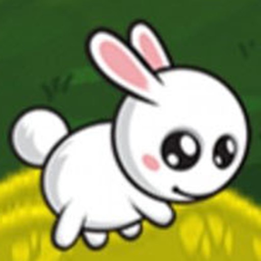 Cute White Bunny Adventuresz