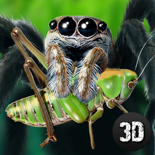 Wild Life of Tarantula Spider icon