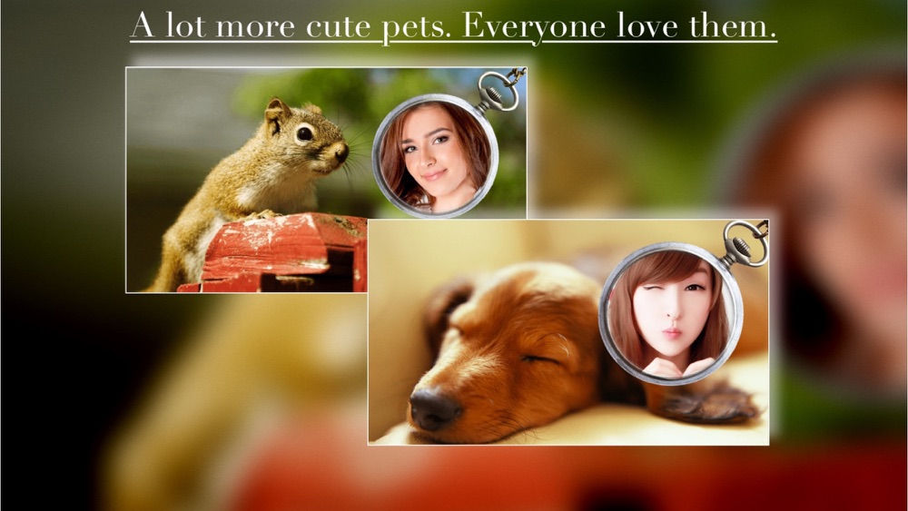 Instamag 画中画相机 Cute Pet Camera Free Download App For Iphone Steprimo Com