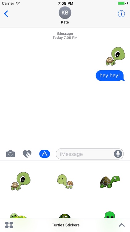 Turtles Stickers