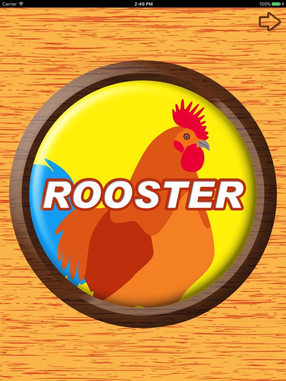 Big Button Box Animals HD - sound effects & sounds screenshot-4