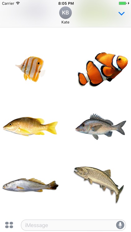 Fish School Stickers