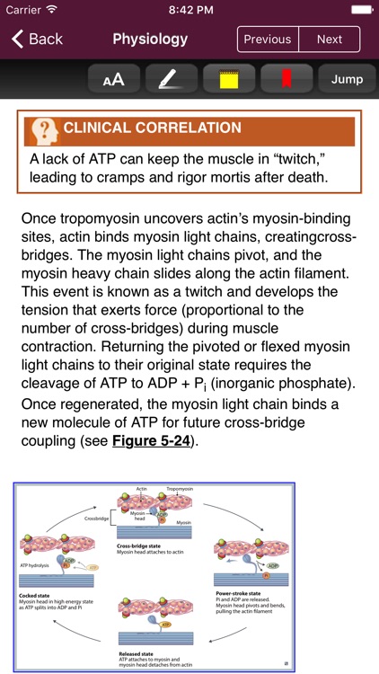 First Aid: Organ Systems