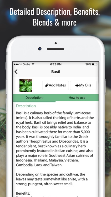 Essential Oils Ref Guide to Young Living