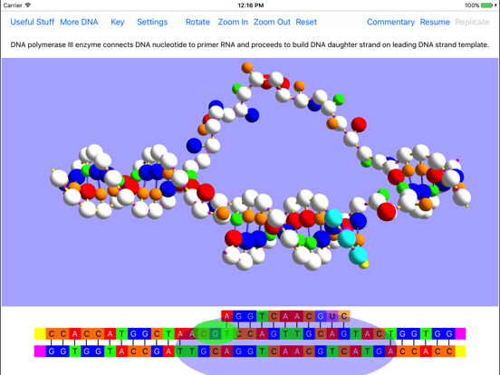 OnScreen DNA Replicationのおすすめ画像1