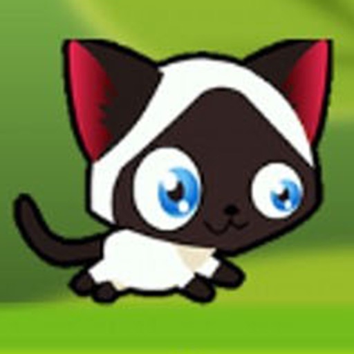 Tiny Cat Green Adventueres icon