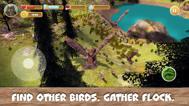 Wild Bird Survival Simulator Full(圖2)-速報App