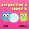 Icon Preposition & Opposite Words Vocabulary For Kids