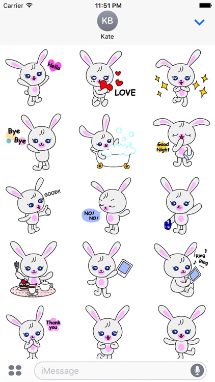 Lovely bunny ”Nana"