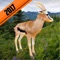 2017 African Deer Hunting Safari Survival is a very nice and attractive game