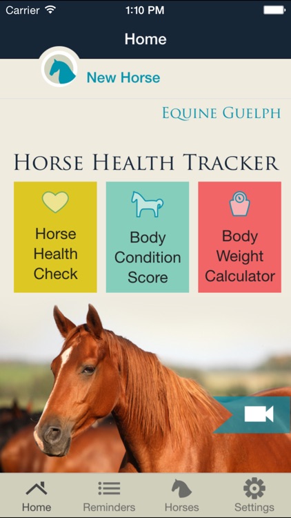 Horse Health Tracker