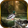 Sniper Duck Hunter