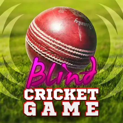 Blind Cricket Cheats