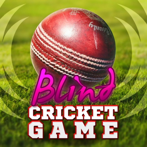 Blind Cricket Icon
