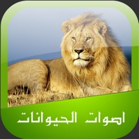 2020 اصوات الحيوانات