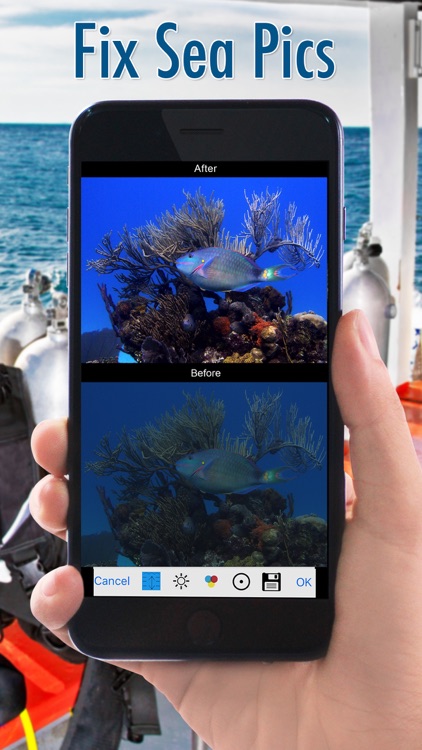 Vivid-Pix LAND & SEA screenshot-3