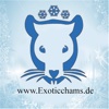 Exoticchams Frostfutterhändler