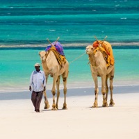 The Sands at Nomad PC 용