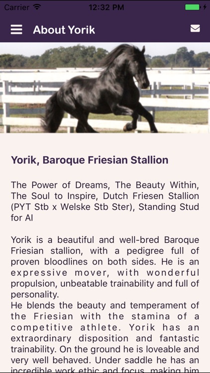 IamYorik screenshot-4