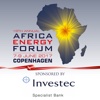 Africa Energy Forum 2017