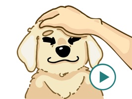 Larry the Lab - Animated Stickers