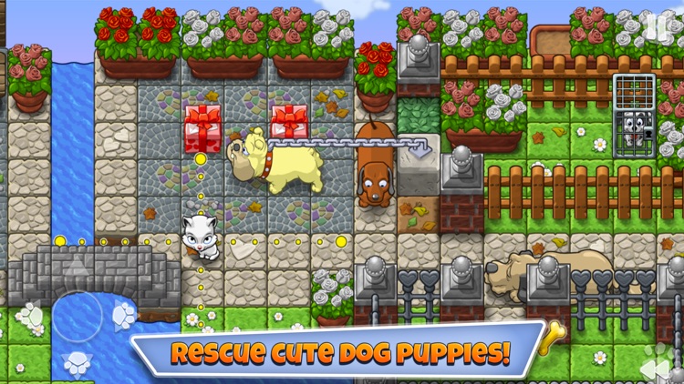 Save The Puppies