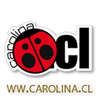 Radio Carolina 99.3