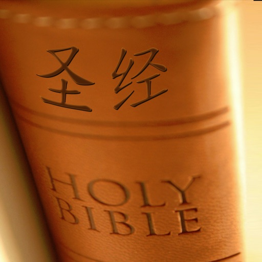 Chinese Bible icon