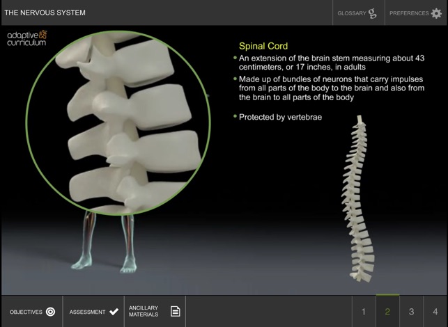 Exploring the Nervous System(圖2)-速報App