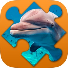Activities of Seascape and Dolphin Jigsaw Puzzles