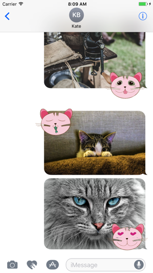 Animated Pink Cat Stickers(圖1)-速報App