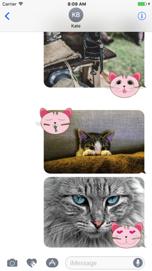 Animated Pink Cat Stickers