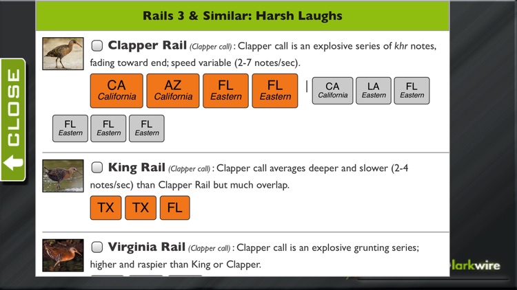 Larkwire Learn Bird Songs 2 screenshot-3